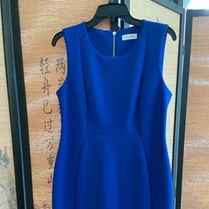 Gorgeous Calvin Klein Petite dress